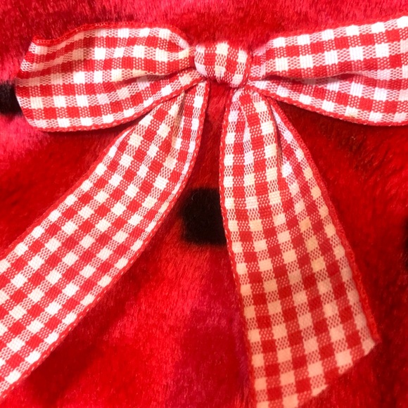 Child Size Large Ladybug 🐞 Costume - Picture 3 of 6